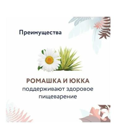 FLORIDA Dry gastrointestinal feed for digestion of cats 0.5 kg - Buy Online on GoSupps.com