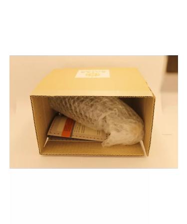 Altai taiga health resort Red root 1*07 ml for tincture - Buy Online on GoSupps.com