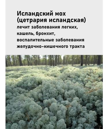 FOREST VIBE Icelandic moss from cough - Buy Online on GoSupps.com