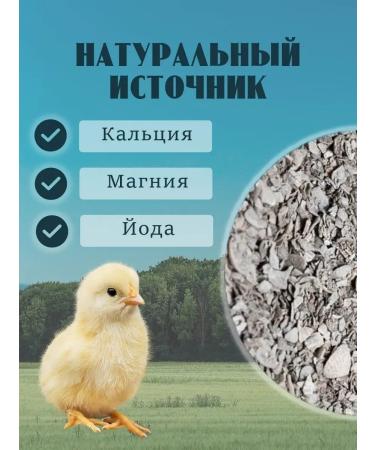 KORMIS Broke for chickens fodder sea 5kg - Buy Online on GoSupps.com
