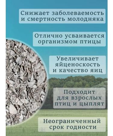 KORMIS Broke for chickens fodder sea 5kg - Buy Online on GoSupps.com