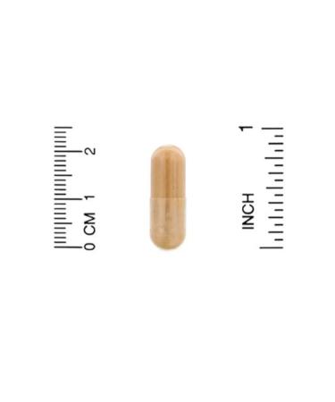 California Gold Nutrition Silimarin complex for the liver detoxification - Buy Online on GoSupps.com