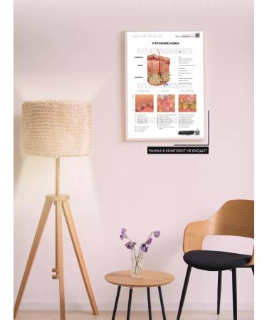Permanentum Poster leather building permanent makeup - Buy Online on GoSupps.com