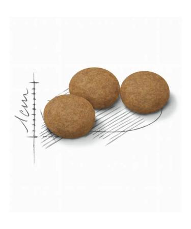 Royal Canin Cat food dry Sterilled Ageing 12+ 400g - Buy Online on GoSupps.com