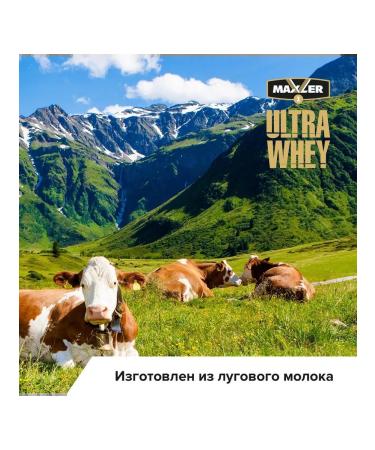 maxler Serum protein ultra Whey 450 g vanilla ice cream - Buy Online on GoSupps.com