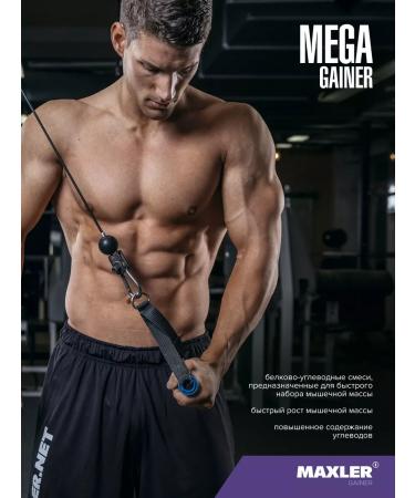 Heiner Mega Gainer 1000g Vanil - Buy Online on GoSupps.com