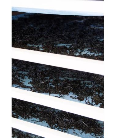 Taste of the North Ivan tea with a tully 40 g - Buy Online on GoSupps.com