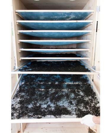 Taste of the North Ivan tea with a tully 40 g - Buy Online on GoSupps.com