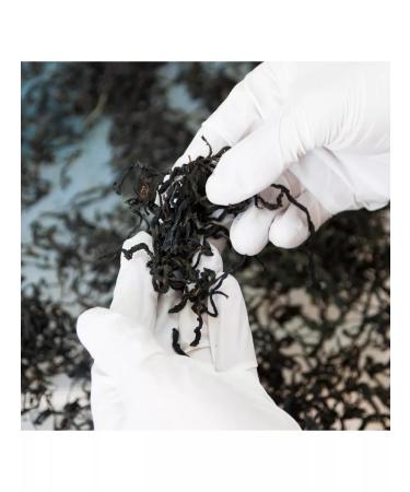 Taste of the North Ivan tea with a tully 40 g - Buy Online on GoSupps.com