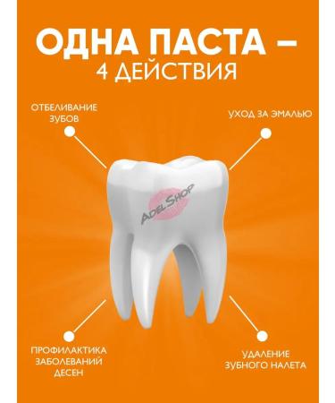 median Toothpaste for the whole family refreshing against raid stone - Buy Online on GoSupps.com