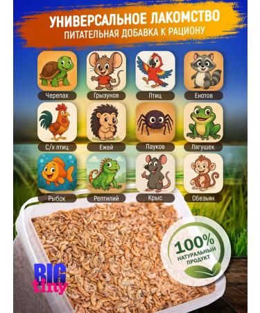 Big Tiny Gammarus carcass for ross turtles and fish - Buy Online on GoSupps.com