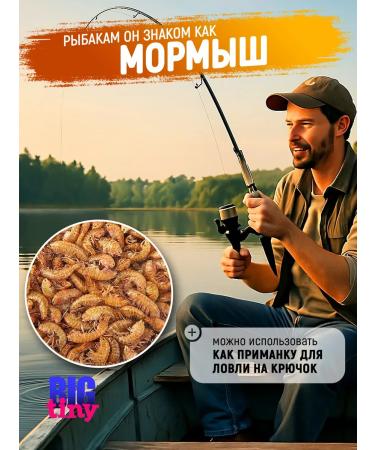 Big Tiny Gammarus carcass for ross turtles and fish - Buy Online on GoSupps.com