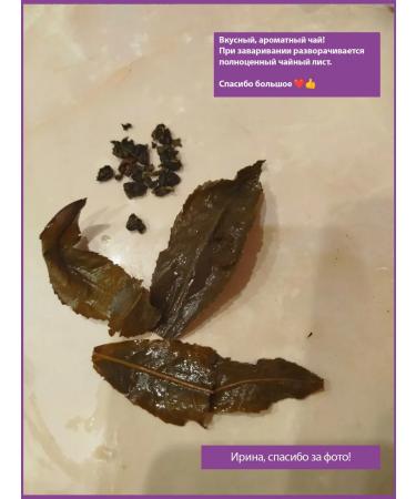 THEATASTY Dairy oolong tea green leaf without additives 200 g - Buy Online on GoSupps.com