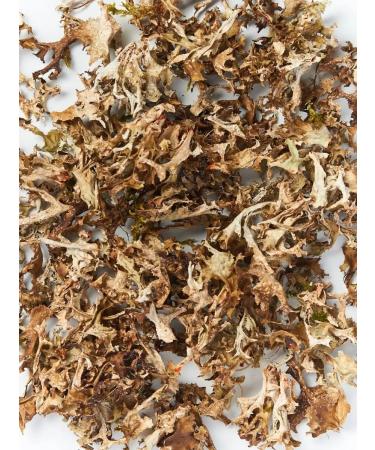 The Power of the Polar Bear Icelandic moss from coughing 100 grams of cetraria - Buy Online on GoSupps.com