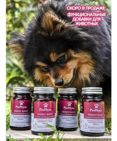 ProPhyto Shampoo for dogs and puppies hypoallergenic from a smell of 250 ml - Buy Online on GoSupps.com