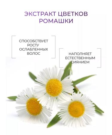 Ollin Professional Air conditioner OLLIN SERVICE Line pH 3.5 250 ml - Buy Online on GoSupps.com