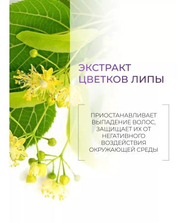 Ollin Professional Air conditioner OLLIN SERVICE Line pH 3.5 250 ml - Buy Online on GoSupps.com