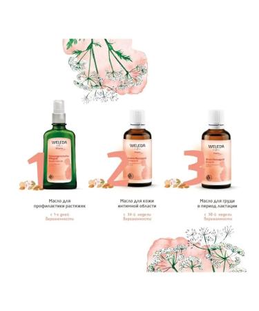WELEDA Breast oil during lactation 50 ml - Buy Online on GoSupps.com