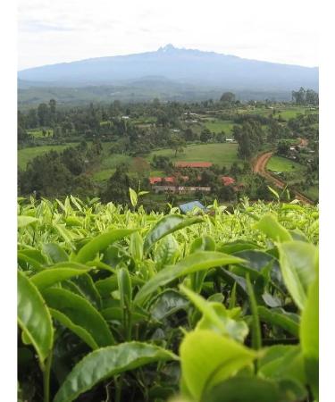 Gutenberg Black Masala-2 tea drink with additives 500 g India - Buy Online on GoSupps.com