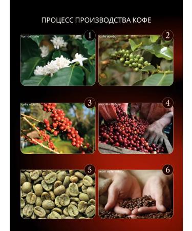 PASCUCCI Coffee in grains 1 kg 100% without caffeine - Buy Online on GoSupps.com