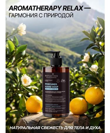 BOTAVIKOS Liquid hand soap antibacterial - Buy Online on GoSupps.com