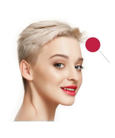 FACE Company Pigments for permanent makeup and tattooing of the lips Megan - Buy Online on GoSupps.com