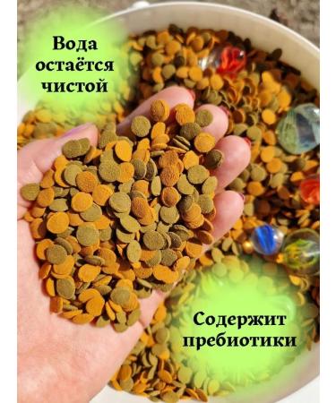 Terraoptima 100 g tablets for aquarium catfish - Buy Online on GoSupps.com