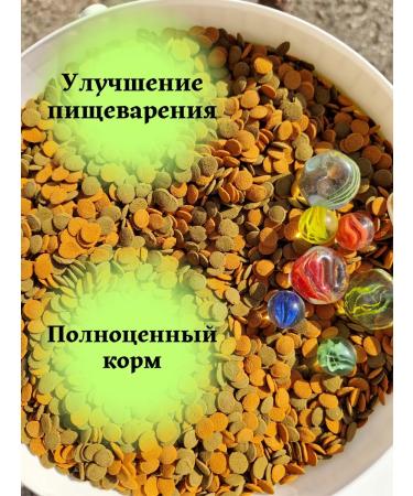 Terraoptima 100 g tablets for aquarium catfish - Buy Online on GoSupps.com