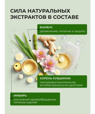 mise en scene Shampoo with extracts of green tea and ginger 680 ml - Buy Online on GoSupps.com