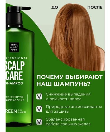mise en scene Shampoo with extracts of green tea and ginger 680 ml - Buy Online on GoSupps.com