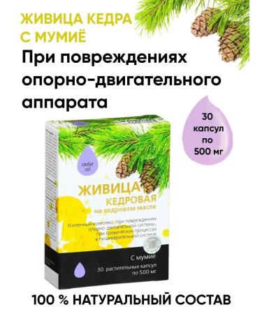 Cedar resin in cedar oil Kedrovka Zhivitsa with mummy for joints capsules 1 pc