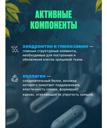 ALTAI NECTAR Phyto Booster Artro Fitobuster Artro 60 capsules - Buy Online on GoSupps.com