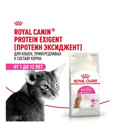 ROYAL CANIN Protein Exigent food for fastidious cats 2 kg - Buy Online on GoSupps.com