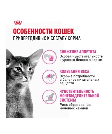ROYAL CANIN Protein Exigent food for fastidious cats 2 kg - Buy Online on GoSupps.com