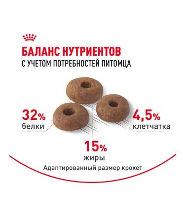 ROYAL CANIN Fit 32 food for cats on the street 2 kg - Buy Online on GoSupps.com