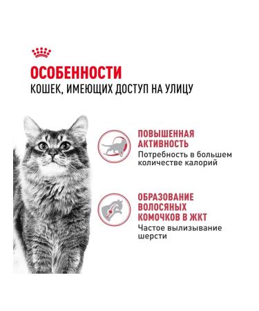 ROYAL CANIN Fit 32 food for cats on the street 2 kg - Buy Online on GoSupps.com