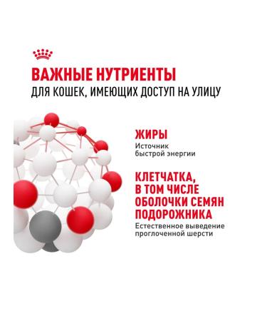 ROYAL CANIN Fit 32 food for cats on the street 2 kg - Buy Online on GoSupps.com