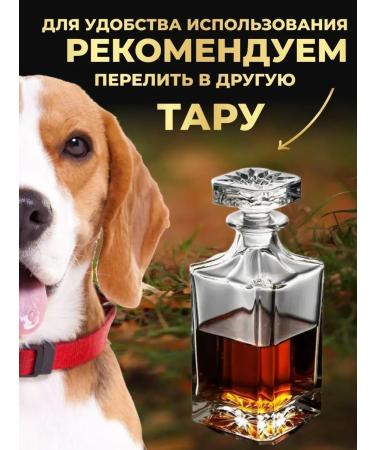 SKER Salmon oil for cats and dogs - Buy Online on GoSupps.com