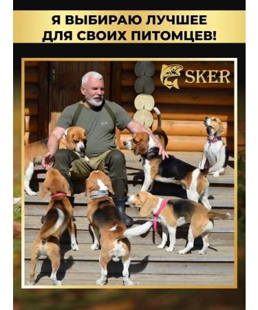 SKER Salmon oil for cats and dogs - Buy Online on GoSupps.com