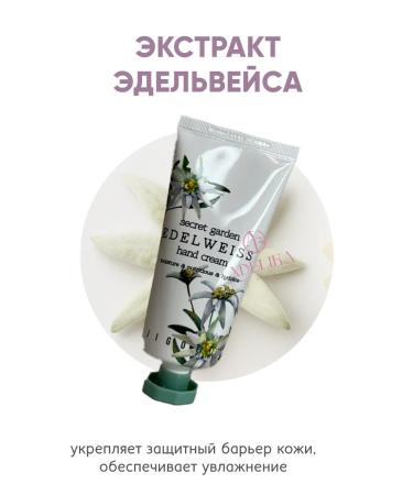 Jigott Moisturizing hand cream set - Buy Online on GoSupps.com