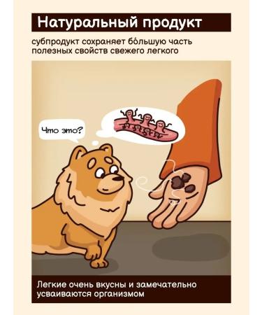 GRIZGO Light S for training pork delicacy - Buy Online on GoSupps.com