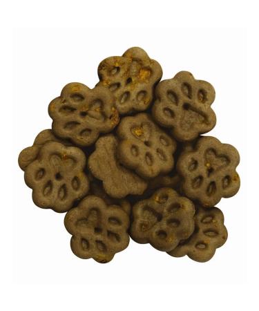 Country delicacies Dog treating cookies with lamb and pumpkin 100 g - Buy Online on GoSupps.com