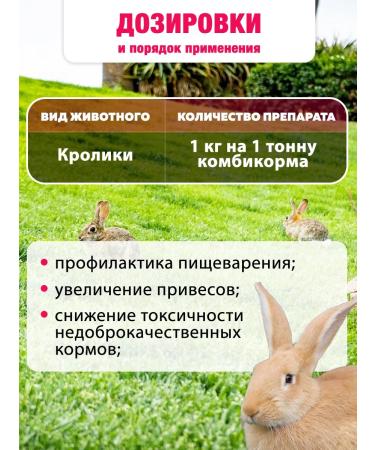 BashInkom Vetosporin additive for CRC MRS pigs of poultry poultry 1 kg - Buy Online on GoSupps.com