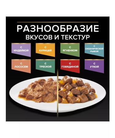 PRO PLAN Spider for cats with turkey with a duck with a lamb 85 g x 40 pcs - Buy Online on GoSupps.com