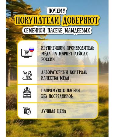 Honey of the Mamdeev family Gift set of honey with mummy Strong - Buy Online on GoSupps.com