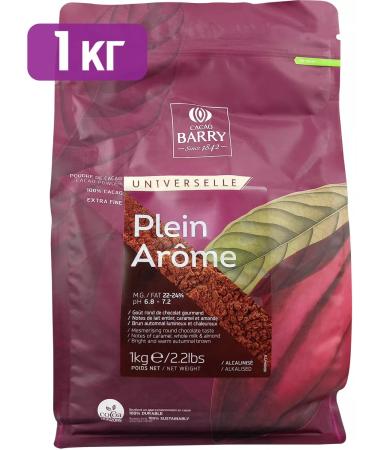 Cacao Barry Plein Arome Cocoa Power 22-24% brown 1 kg