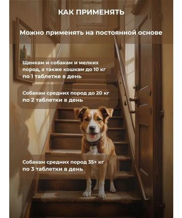 HYBRID NUTRACEUTICALS Chondroprotector for dogs and cats 120 bones - Buy Online on GoSupps.com