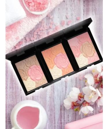 POSH Mineral blush + highlighter - Buy Online on GoSupps.com