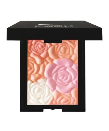 POSH Mineral blush + highlighter + contouring - Buy Online on GoSupps.com