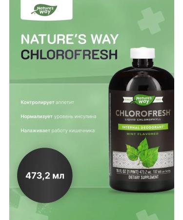 Nature's Way Chlorofresh 473.2 ml - liquid chlorophyll